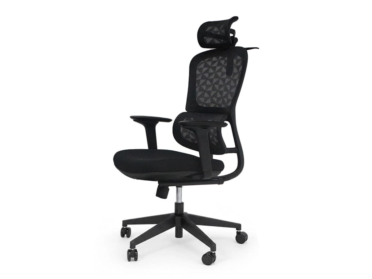 C10 Ergonomic Chair Series thumbnail 3
