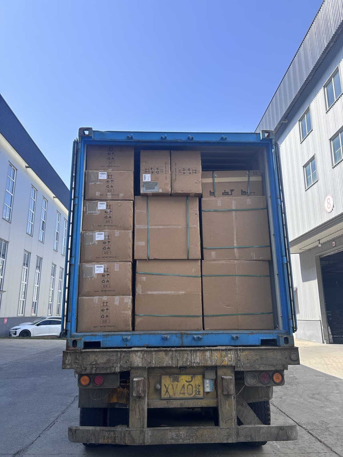 Cartons positioned inside the container before the doors were closed.
